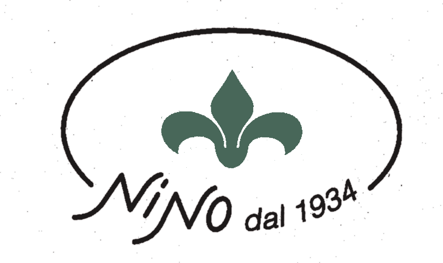 Marco Piccardi - NINO dal 1934